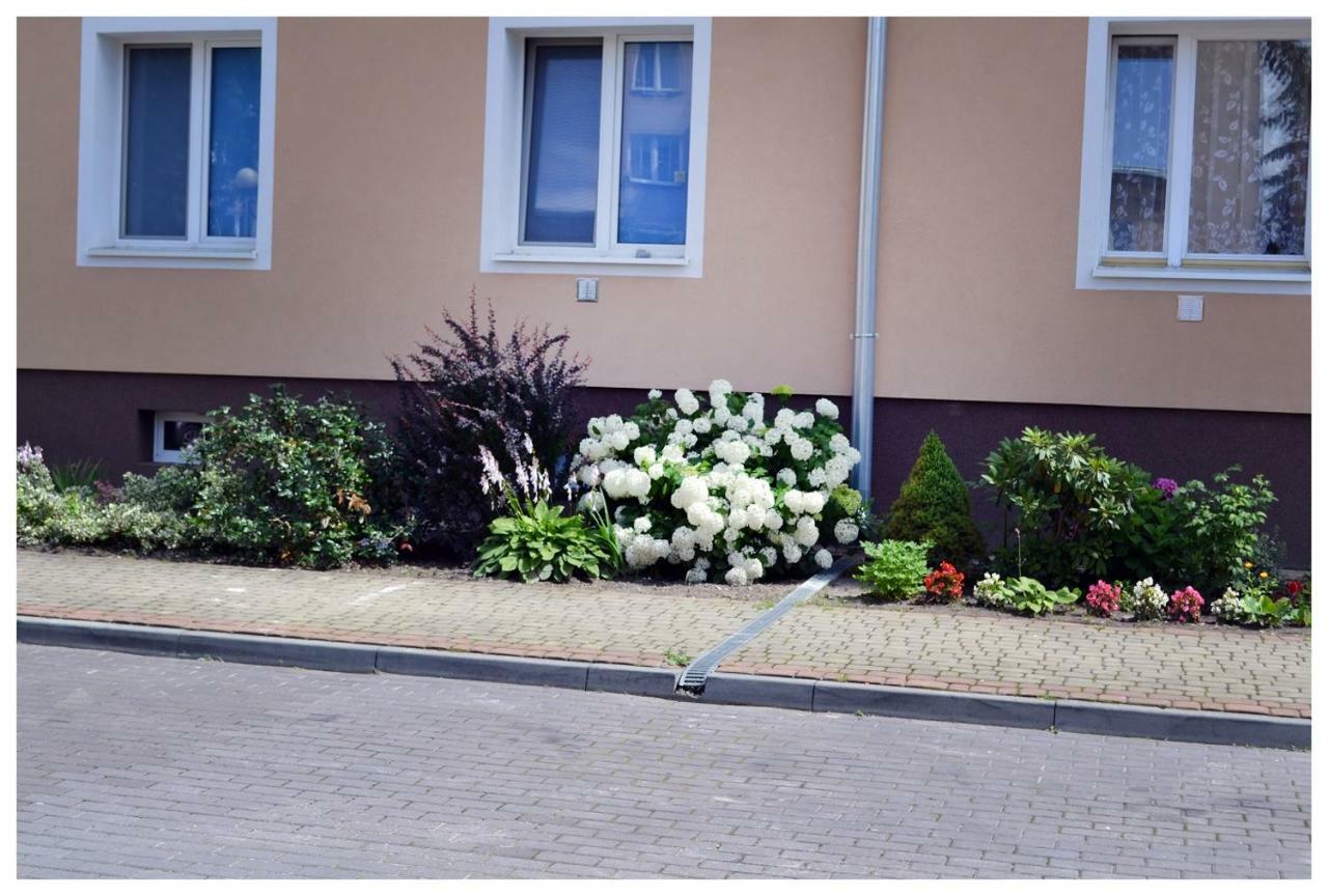 Color24 Apartament ستالوفا فولا المظهر الخارجي الصورة